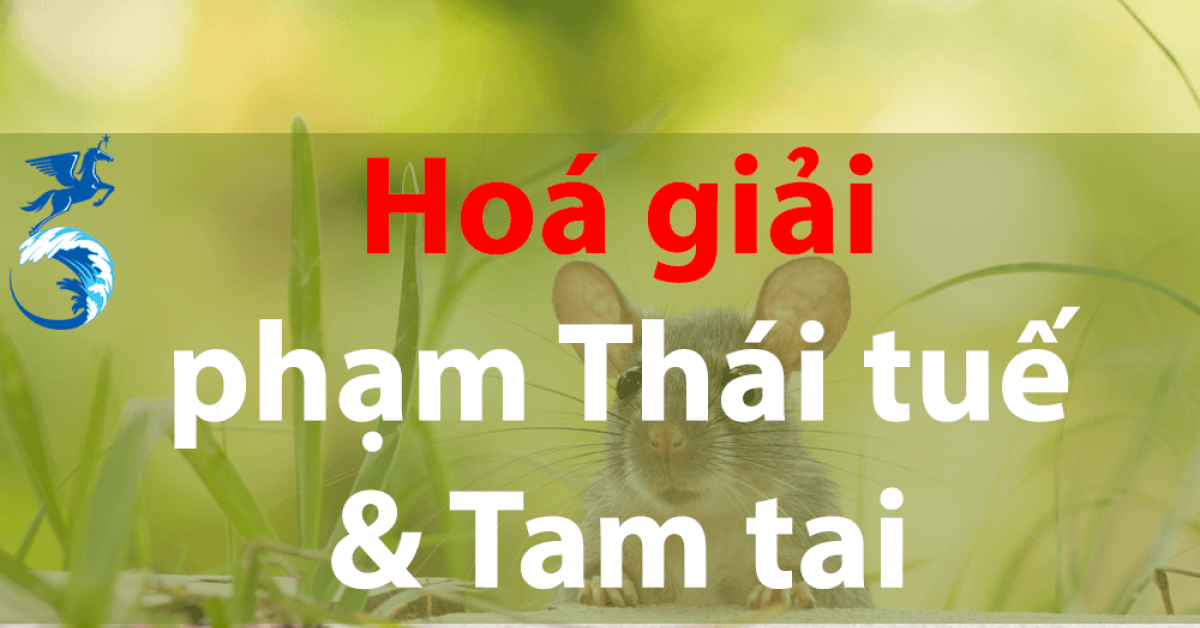 Vật phẩm phong thủy hóa giải tam tai 2023 vô cùng linh nghiệm Vật phẩm phong thủy hóa giải tam tai 2023 vô cùng linh nghiệm