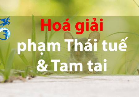 Hoá giải Tam tai & phạm Thái tuế năm 2020 đơn giản (Chuyên gia)