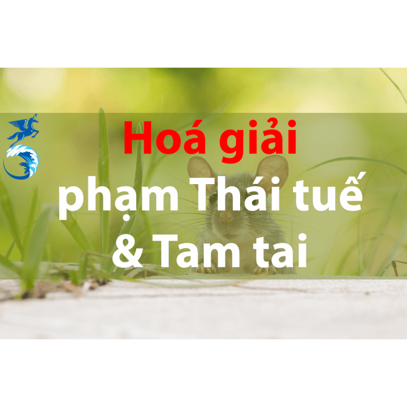 Đồng tiền xu Thái Tuế (tiền Áp Tuế) cổ phong thủy - Hóa giải tuổi, hướng nhà Đồng tiền xu Thái Tuế (tiền Áp Tuế) cổ phong thủy - Hóa giải tuổi, hướng nhà