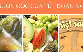 Tết Đoan ngọ của người Việt KHÔNG bắt nguồn từ Trung Quốc