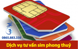 Xem sim phong thuỷ hợp tuổi chính xác &  khoa học